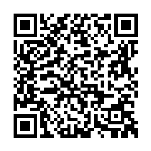 显然和之前见到过的宇圣铭和宇冬崖有几分相像二维码生成