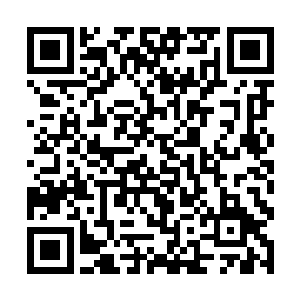 显然噬魂魔尊的手段实在是大大出乎了他的意料之外二维码生成