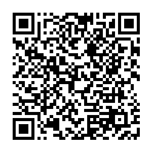 显然她个人是比较倾向于进山里去的……在钢筋水泥的城市里面呆得太久了二维码生成