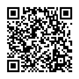 显然对于老者大长老的心中有着一种近乎偏执的迷信二维码生成