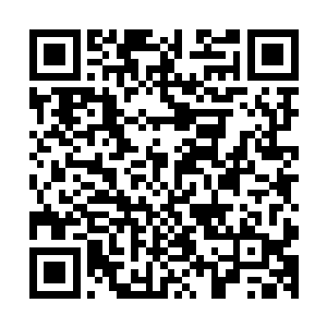 显然对孙子轩竟然选择用金针来治疗这种疾病感觉非常的不屑二维码生成