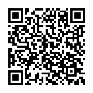 显然很不理解为什么五块钱能让猴子愤怒成这样二维码生成