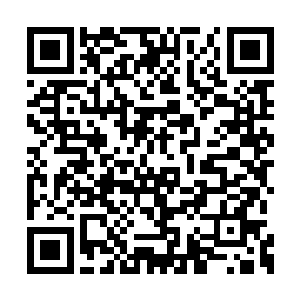 显然很快也是发现了杨戬手中的法宝的不凡之处二维码生成