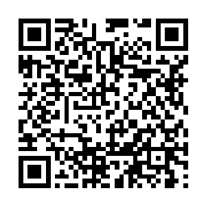 显然是张天元身上的法宝防护起到了决定性的作用二维码生成