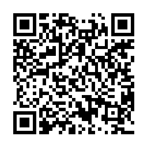 显然是想到了先前飞虹剑一口气击杀十几名修士的情形二维码生成