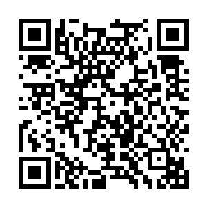 显然是没有想到这个紫妖修为竟会强大到这般地步二维码生成