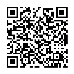 显然是闪电貂将他们引来后被冰蟾毫不费力杀死的二维码生成