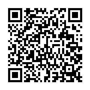 显然杨戬的实力绝对不是她之前想象的涅盘境界那么简单二维码生成