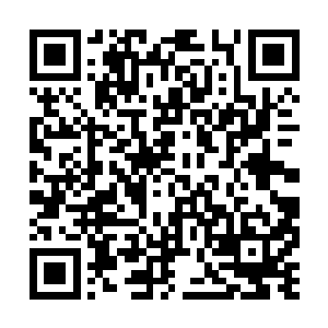 显然某王爷还没意识到火烧皇陵是多么严重的事情二维码生成