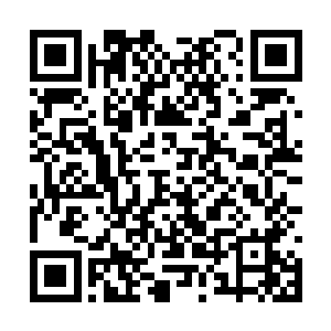 显然正是蒲节魔君需吩咐吴岩此次需要收集的宝物二维码生成