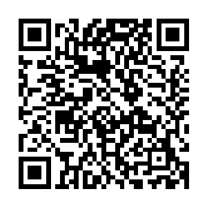 显然此情此景也让他想到了自己之前的时候面对天道之劫的情景二维码生成