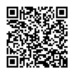 显然此时龙傲天也从赤炎神蛟的气息之中判断出了对方的修为二维码生成