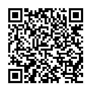 显然现在微软内部的技术人们都压根不想提到regedit这个代号二维码生成