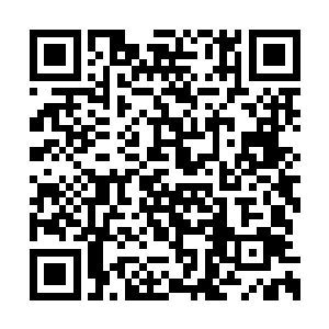 显然要去说通一位对人情世故等于未开化的姑娘二维码生成