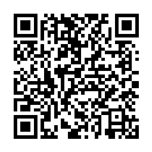 显然这些冥家的修炼者在龙傲天的眼中跟蝼蚁没有什么区别二维码生成