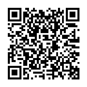 显然遇到过很多如杨开这样不知天高地厚的年轻人二维码生成