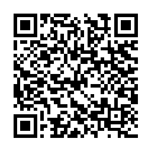 显然那个老者的行为已经深深触动了龙傲天的逆鳞二维码生成