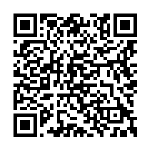 显然那些人都已经见惯了挡在前面之人的下场了二维码生成