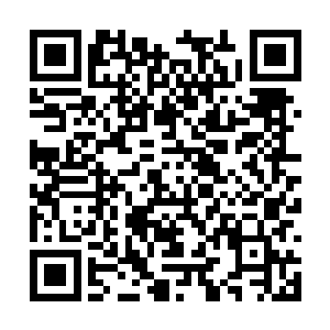 显然除了龙傲天之外根本就没有人能够做到这一点二维码生成