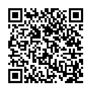 显然龙傲天给他们的奖励比他们预想之中的实在是丰厚的太多了二维码生成