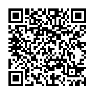 晏锦的目光却落在了晏四爷身后那个人的身上……二维码生成