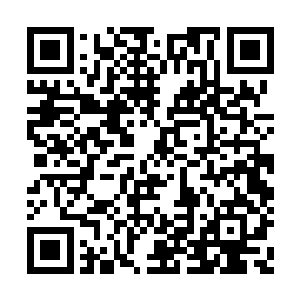 晏锦看见晏闻惠那副自己都不相信自己话的神色二维码生成