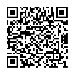 晓同志担任海阳县县委书记的任命今天就要下达二维码生成