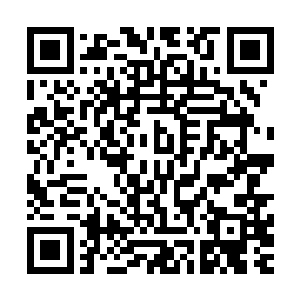 晓带着一个助手不请自来的进了郑明堂原始森林一般的办公室二维码生成