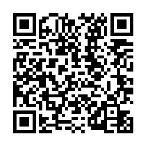 晓越说越觉得这个司嘉仪什么时候变得这么口无遮拦了二维码生成