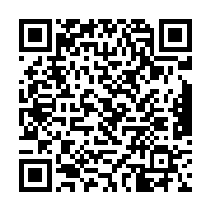 晓这个新任县委书记和县长于全方俩个人亲自陪同的二维码生成