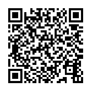 晚上也早早休息并没有离开有着地下道场的别墅二维码生成