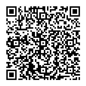 晚上吃饭的时候看到白兰怀里的妮娜有马夫妇都有点惊讶――他们一直以为白兰拎的那个包是他的随身行李来着二维码生成