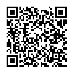 晚上的时候也是亲自的送丁羽和金泰熙两个人回去二维码生成