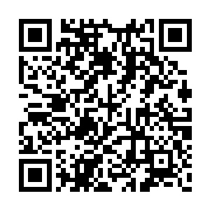 晚辈已经按前辈的意思通告全城禁止大家靠近了二维码生成