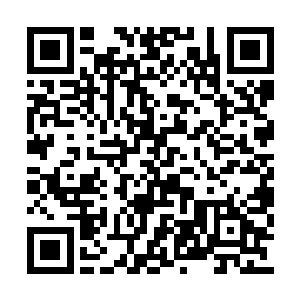 晚辈想在城主府设宴正式地感谢前辈的慷慨指教二维码生成