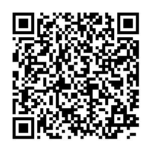 晚辈打算让月婶生下的子嗣成为我内世界彻底完善后的第一个生灵二维码生成