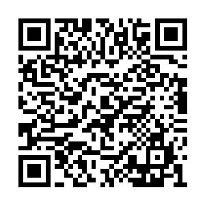 普天之下估计也就只有白芷璃能够做到这一点了二维码生成