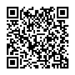 普通天仙就算是全力之下也未必能打碎一块青玉砖二维码生成