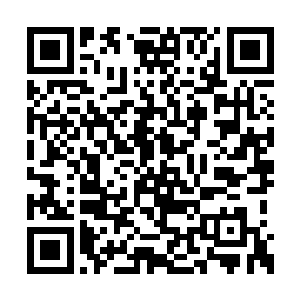 景初在蛋圆圆面前永远是一个萌萌哒小屁孩模样二维码生成