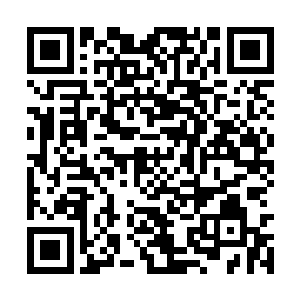 景初对她在基地里的一切行为都采取了包容的态度二维码生成