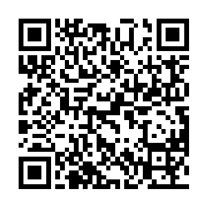 景初把塞翁数据库里所有和机战有关的内容都看了一遍二维码生成