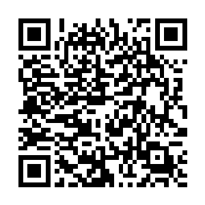 晶姐说让我下午最后一节自习课不要上去照顾一下晶姐二维码生成