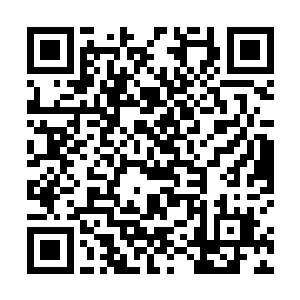 晶莹剔透的眸子掩在长长卷翘的睫毛下能把人心给吸走二维码生成