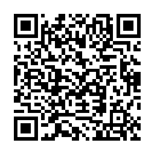 智慧这个特殊的力量对罗瑞来说并不仅仅是天启之力而已二维码生成