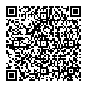 智脑一组便会收集信息归纳整理判断分析最终给出要不要购买有没有风险多少钱购买的最佳方案二维码生成