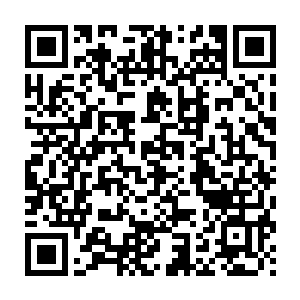 暑期档和与颁奖季紧密相连的感恩圣诞档也是职业影评人的收入旺季二维码生成
