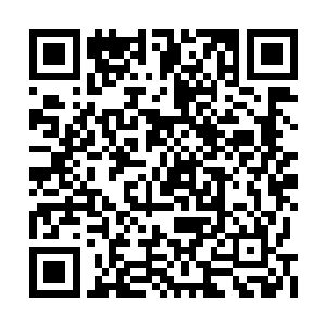 暖暖和苏苏是不是我们两千年前的儿子和女儿啊二维码生成