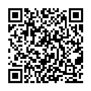 暖轿旁边的婆子和轿夫却还是保持着原来的姿势二维码生成