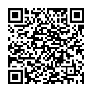 暗中把安风培养的势力和发展的心腹一个个全部拔掉了二维码生成