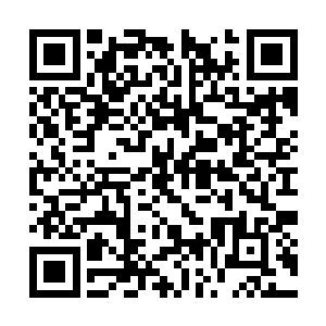 暗恨自己根本就没有能力去参与这一次的拍卖盛会二维码生成